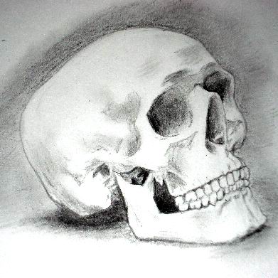 pencil_drawings_of_a_skull_8