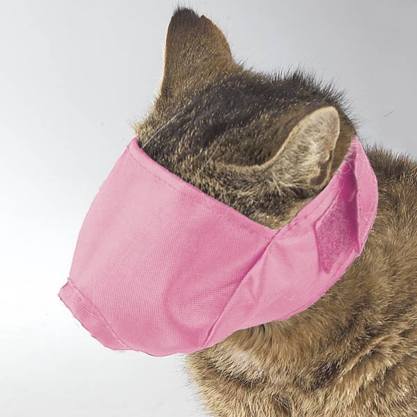 pink cat muzzles