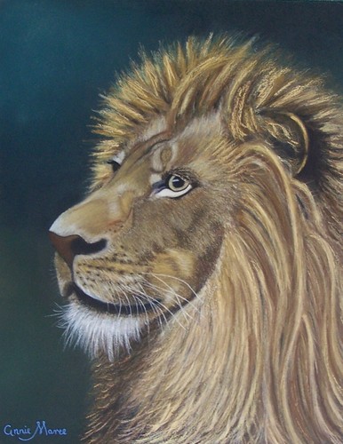 regal-lion